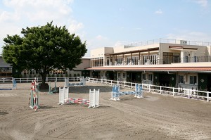 藤沢乗馬クラブ