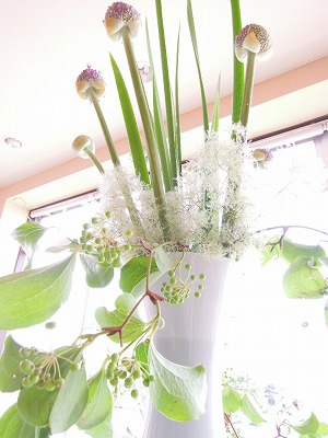 今週のお花【ギガンジューム、オクラレルカ、スモークツリー、サンキライ】