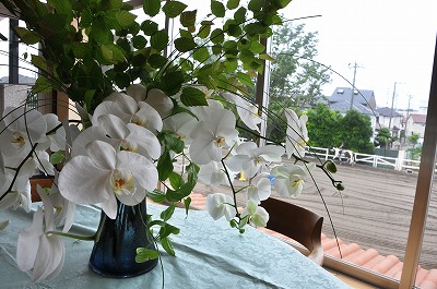 今週のお花　【コチョウラン、姫水木、リキュウソウ、ベアグラス】