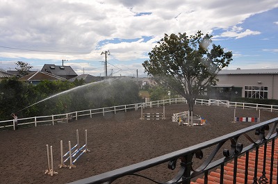 スプリンクラーで馬場のメンテナンス