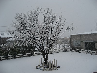 雪３